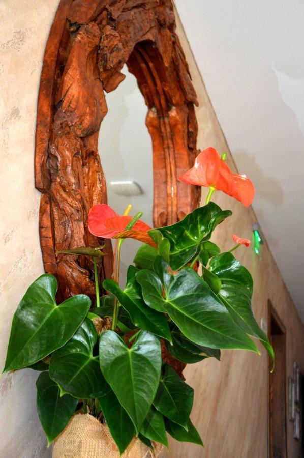 Boutique Villa Amalia Chernomorets Esterno foto